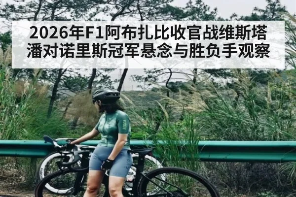2026年F1阿布扎比收官战维斯塔潘对诺里斯冠军悬念与胜负手观察